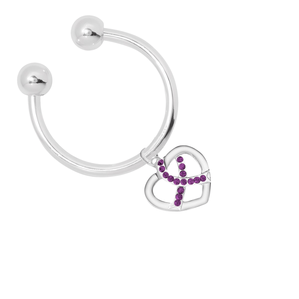 Crystal Purple Ribbon Heart Horse Shoe Style Keychains The Awareness Company