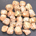 Leopardite (Leopard Jasper) Tumbled Stones (By The Piece or Pound) Wholesale Amazing Crystals