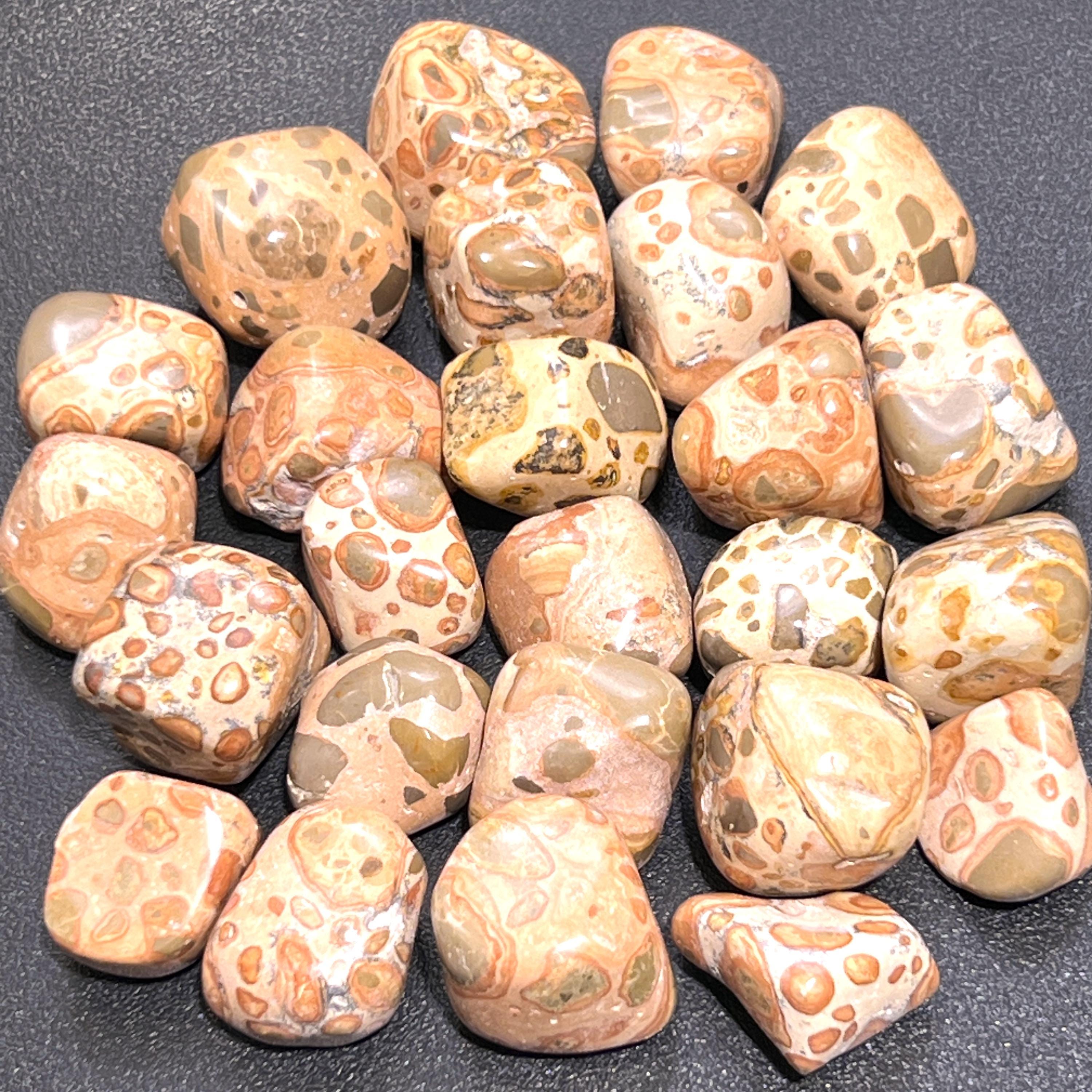 Leopardite (Leopard Jasper) Tumbled Stones (By The Piece or Pound) Wholesale Amazing Crystals