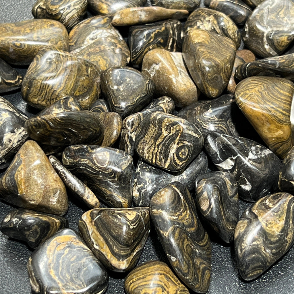 Tumbled Stromatolite Fossil Stones (By The Piece or Pound) Wholesale Amazing Crystals