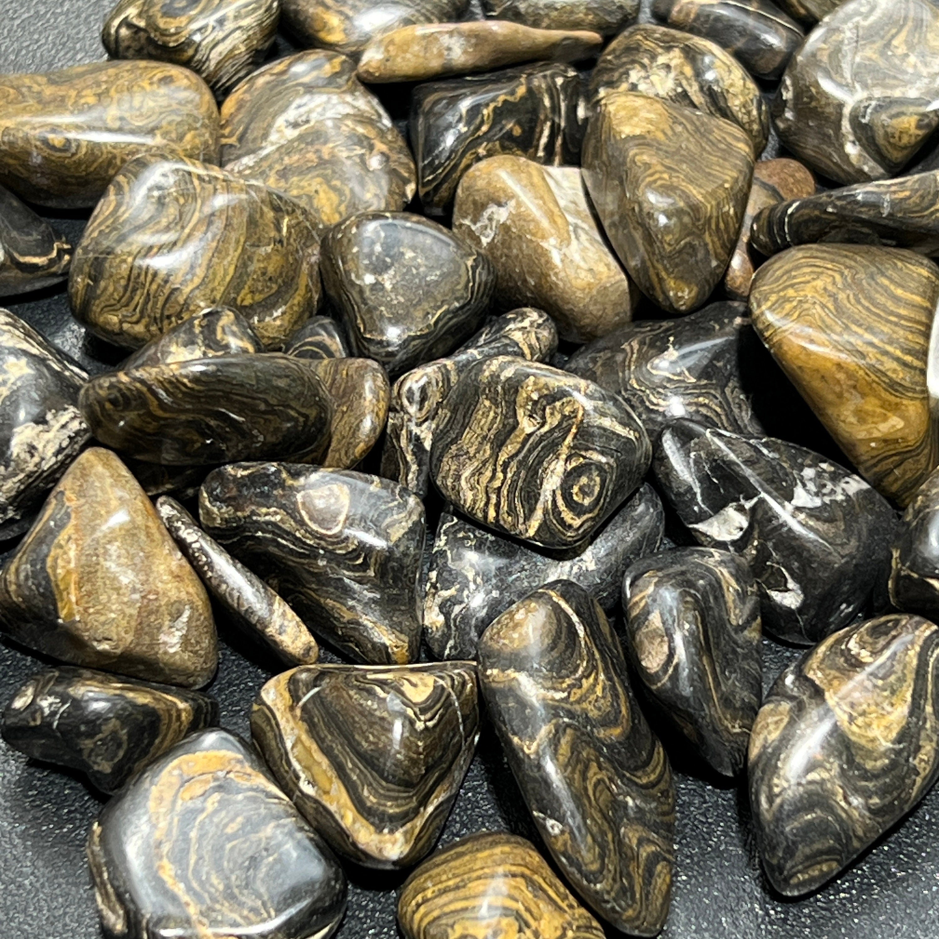 Tumbled Stromatolite Fossil Stones (By The Piece or Pound) Wholesale Amazing Crystals