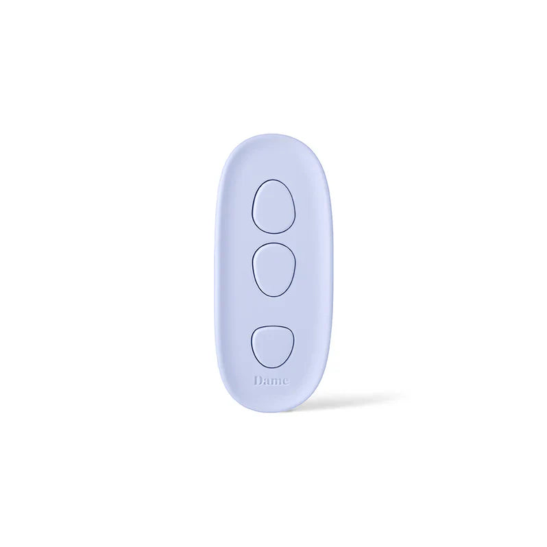 Dame Lay Panty Vibe with Remote Control Adult Toy Box