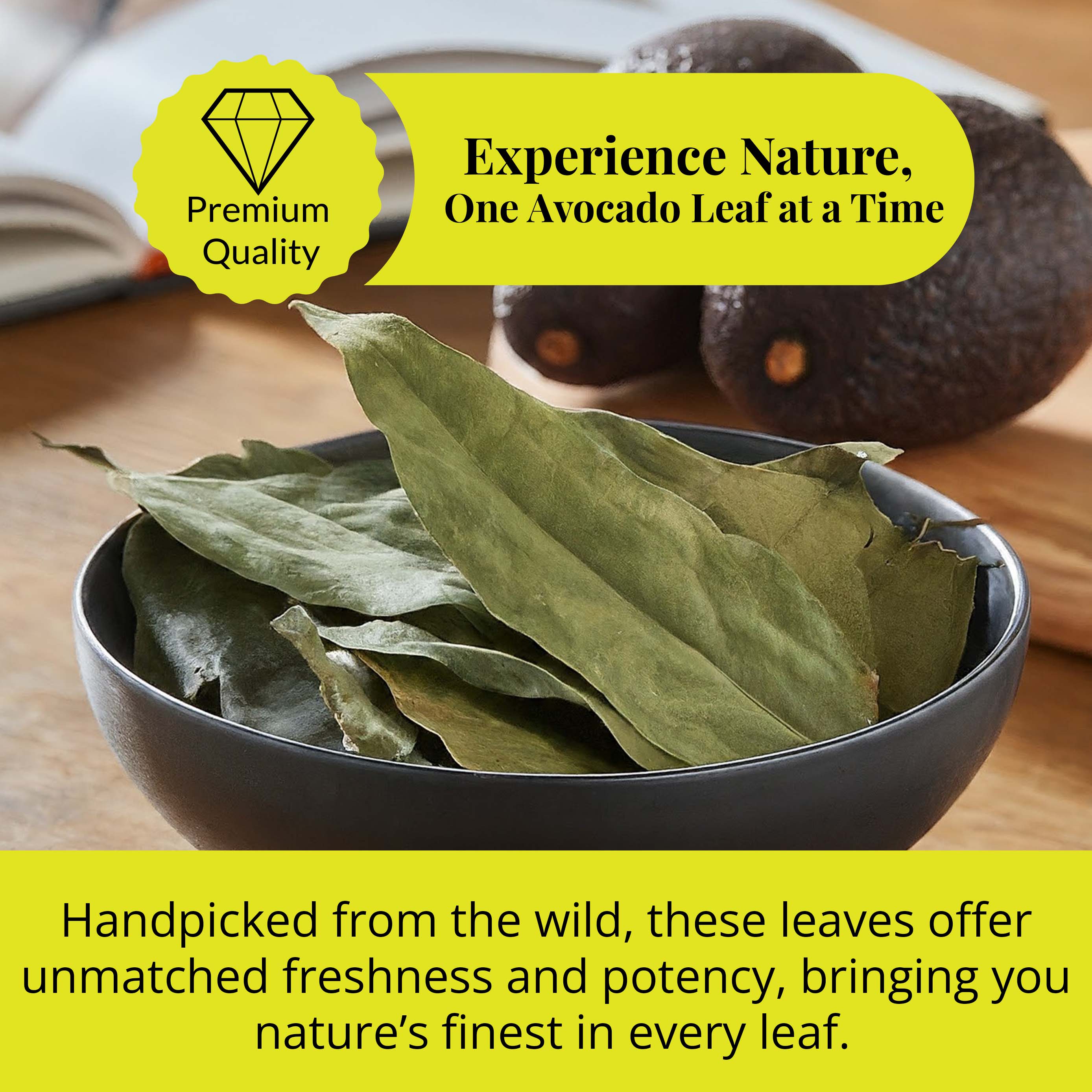 Dried Avocado Leaves, (Hojas De Aguacate) - 2.6oz (75gm). Makes 28 cups Akshit