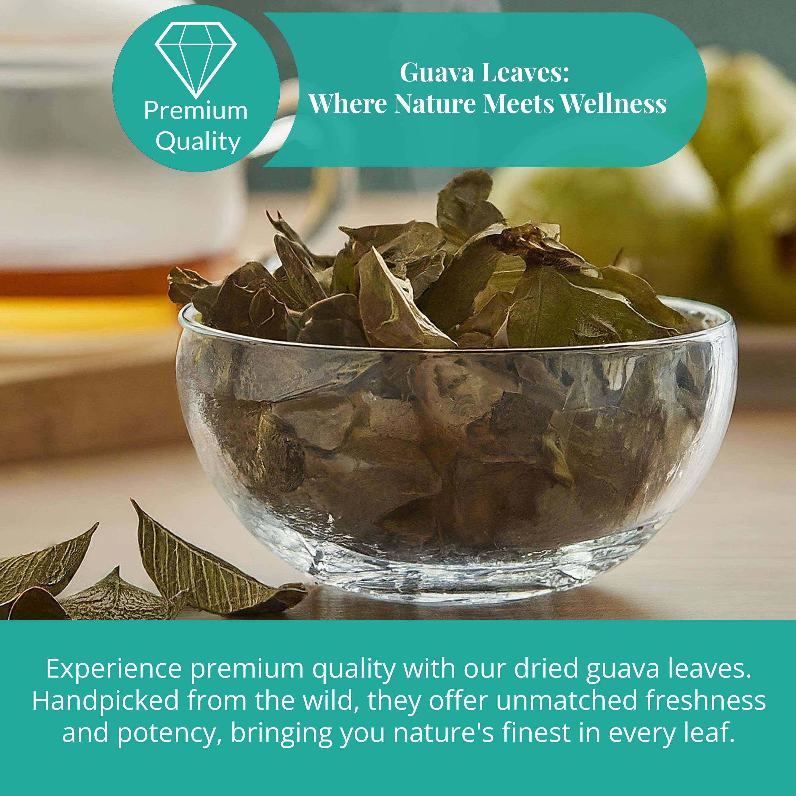 Akshit Dried Guava Leaves ( Hojas De Guayaba ) - 2.6 oz | Pure Guava Leaf for Tea | Feuilles de goyave | Caffeine free, Non GMO, Gluten-free, bio Akshit Akshit