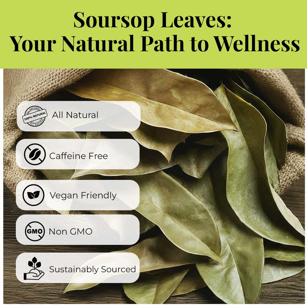 200+ Whole Dried Soursop Leaves – 2.6 oz , 100% Natural Soursop Tea (Graviola Leaves), Caffeine-Free Herbal Tea (Hoja Guanabana) Akshit