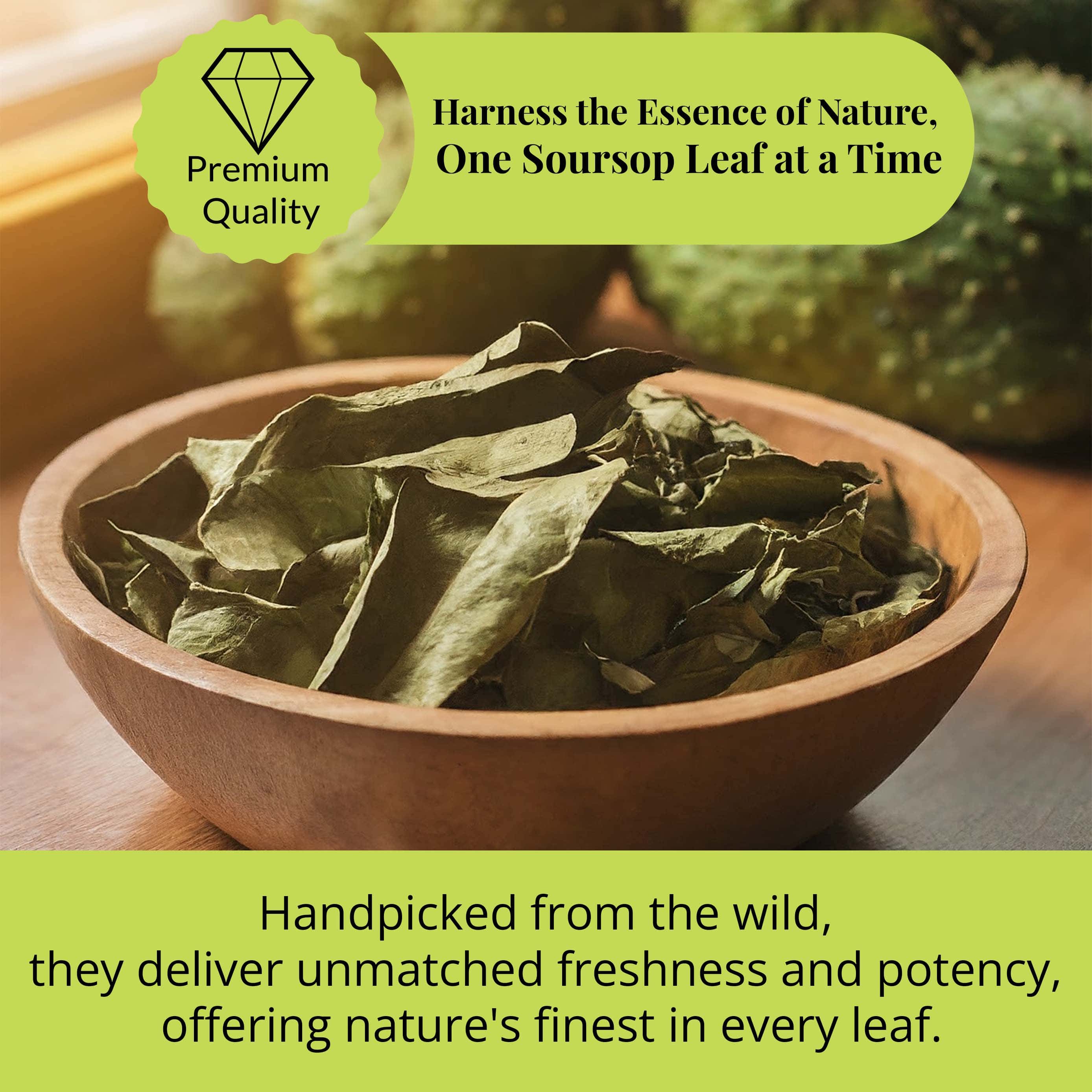 200+ Whole Dried Soursop Leaves – 2.6 oz , 100% Natural Soursop Tea (Graviola Leaves), Caffeine-Free Herbal Tea (Hoja Guanabana) Akshit