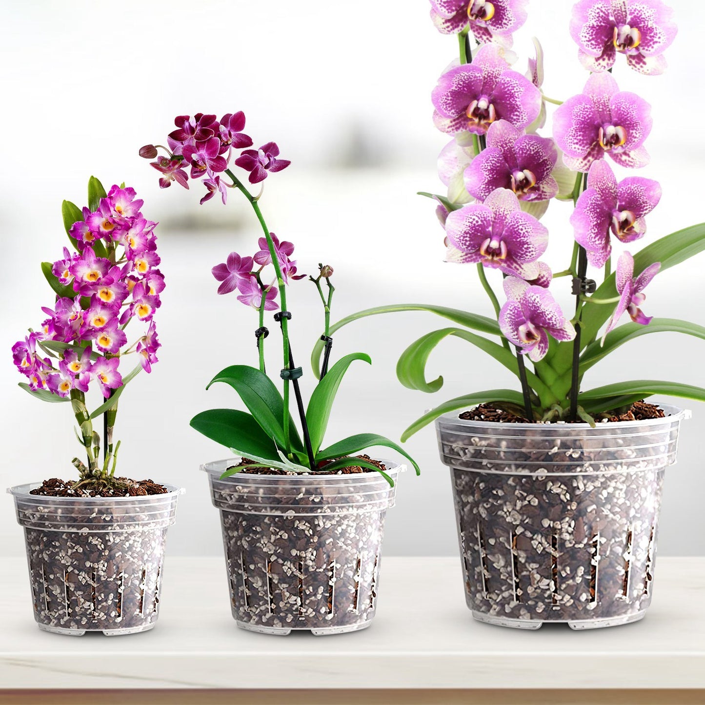 9Pcs Orchid Pots Clear Reusable Plastic Flower Plant Nursery Planter Seed Starter Pots with Drainage Holes with 32.8FT Rope