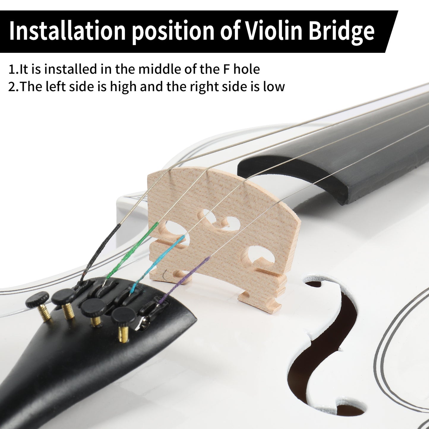 Full Size 4/4 Violin Set for Adults Beginners Students with Hard Case,Violin Bow,Shoulder Rest,Rosin,Extra Strings and Sordine