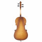 4/4 Acoustic Cello Case Bow Rosin Wood Color (Old code:86308904)