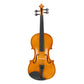 Full Size 4/4 Violin Set for Adults Beginners Students with Hard Case,Violin Bow,Shoulder Rest,Rosin,Extra Strings and Sordine