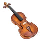 Glarry GV103 4/4 Spruce Panel Violin Matte Natural