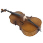 4/4 Acoustic Cello Case Bow Rosin Wood Color (Old code:86308904)