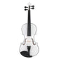 Full Size 4/4 Violin Set for Adults Beginners Students with Hard Case,Violin Bow,Shoulder Rest,Rosin,Extra Strings and Sordine