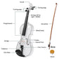 Full Size 4/4 Violin Set for Adults Beginners Students with Hard Case,Violin Bow,Shoulder Rest,Rosin,Extra Strings and Sordine