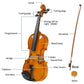 Full Size 4/4 Violin Set for Adults Beginners Students with Hard Case,Violin Bow,Shoulder Rest,Rosin,Extra Strings and Sordine