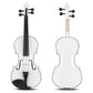 Full Size 4/4 Violin Set for Adults Beginners Students with Hard Case,Violin Bow,Shoulder Rest,Rosin,Extra Strings and Sordine