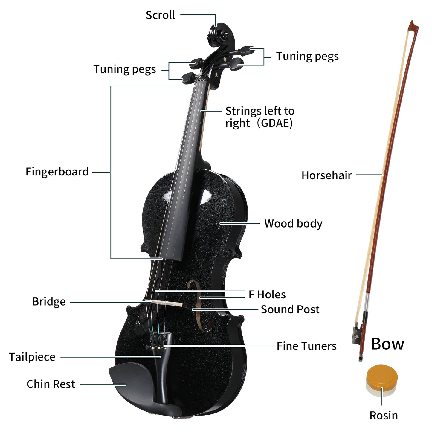 Full Size 4/4 Violin Set for Adults Beginners Students with Hard Case,Violin Bow,Shoulder Rest,Rosin,Extra Strings and Sordine