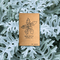 Dusty Miller Mix Seeds Plantflix