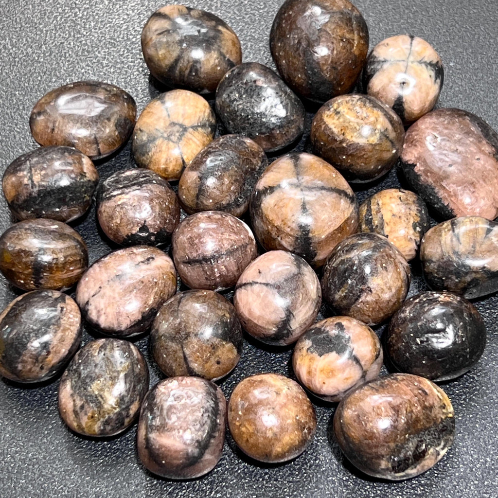 Chiastolite Mixed Quality (Fairy Cross Stone) Tumbled (By The Piece or Pound) Polished Crystals Amazing Crystals
