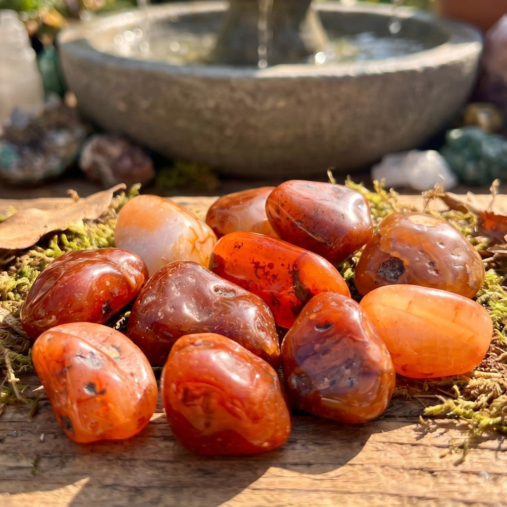 Large Carnelian Red Agate Crystal Tumbled Stones (By The Piece or Pound) Amazing Crystals