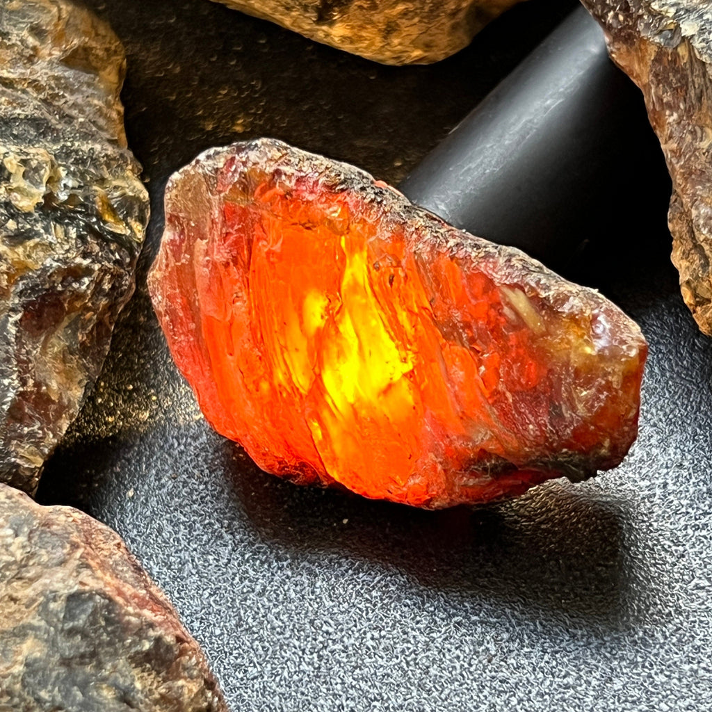 Black Amber Fossilized Tree Resin Mixed Sizes Rough Raw Stones (By The Piece or Pound)(UV Reactive) Wholesale Amazing Crystals