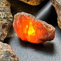 Black Amber Fossilized Tree Resin Mixed Sizes Rough Raw Stones (By The Piece or Pound)(UV Reactive) Wholesale Amazing Crystals