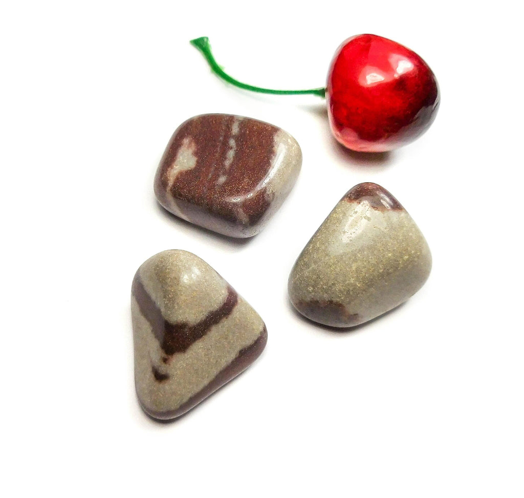 Shiva Lingam Narmada Tumbled Stones (By The Piece Or Pound) Wholesale Amazing Crystals