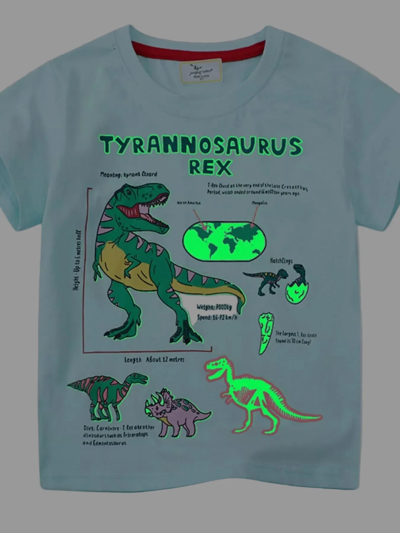 Toddler Boys Dinosaur Graphic Short Sleeve T-Shirt NicholesGifts