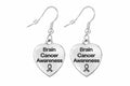 Heart Shaped Brain Cancer Earrings The Awareness Company