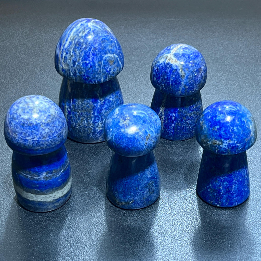 Blue Lapis Lazuli Mushroom Carving Amazing Crystals