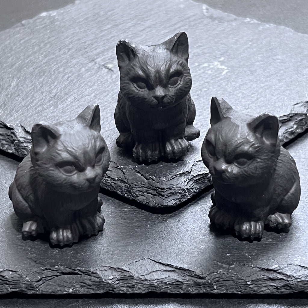 Black Obsidian Cat Kitten Carving Amazing Crystals