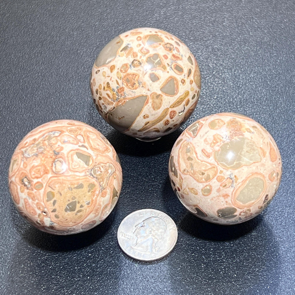 Leopardite Sphere Carving (1.5 Inch)(Leopard Skin Jasper) Amazing Crystals