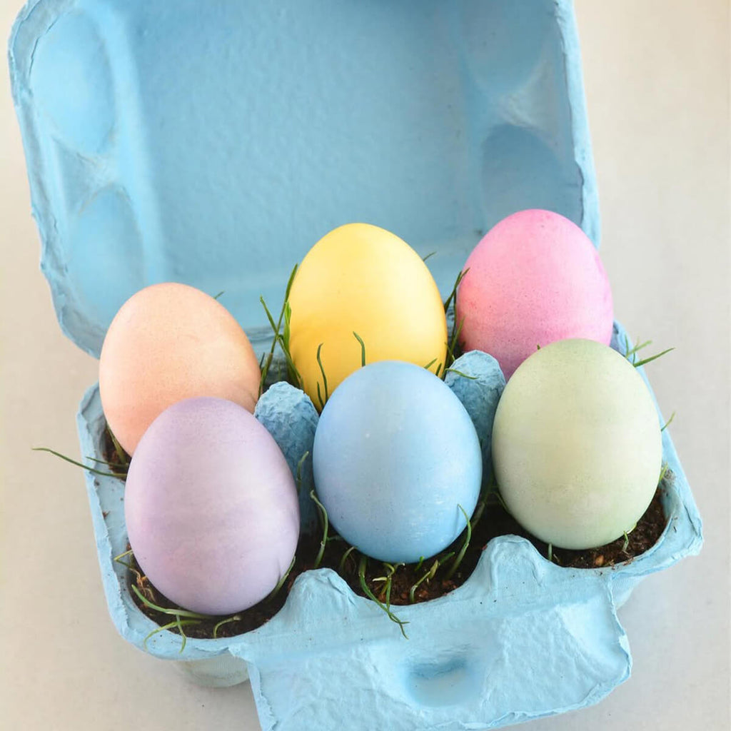 Egg Coloring & Seed Growing Kit – DIY Craft elseware unplug