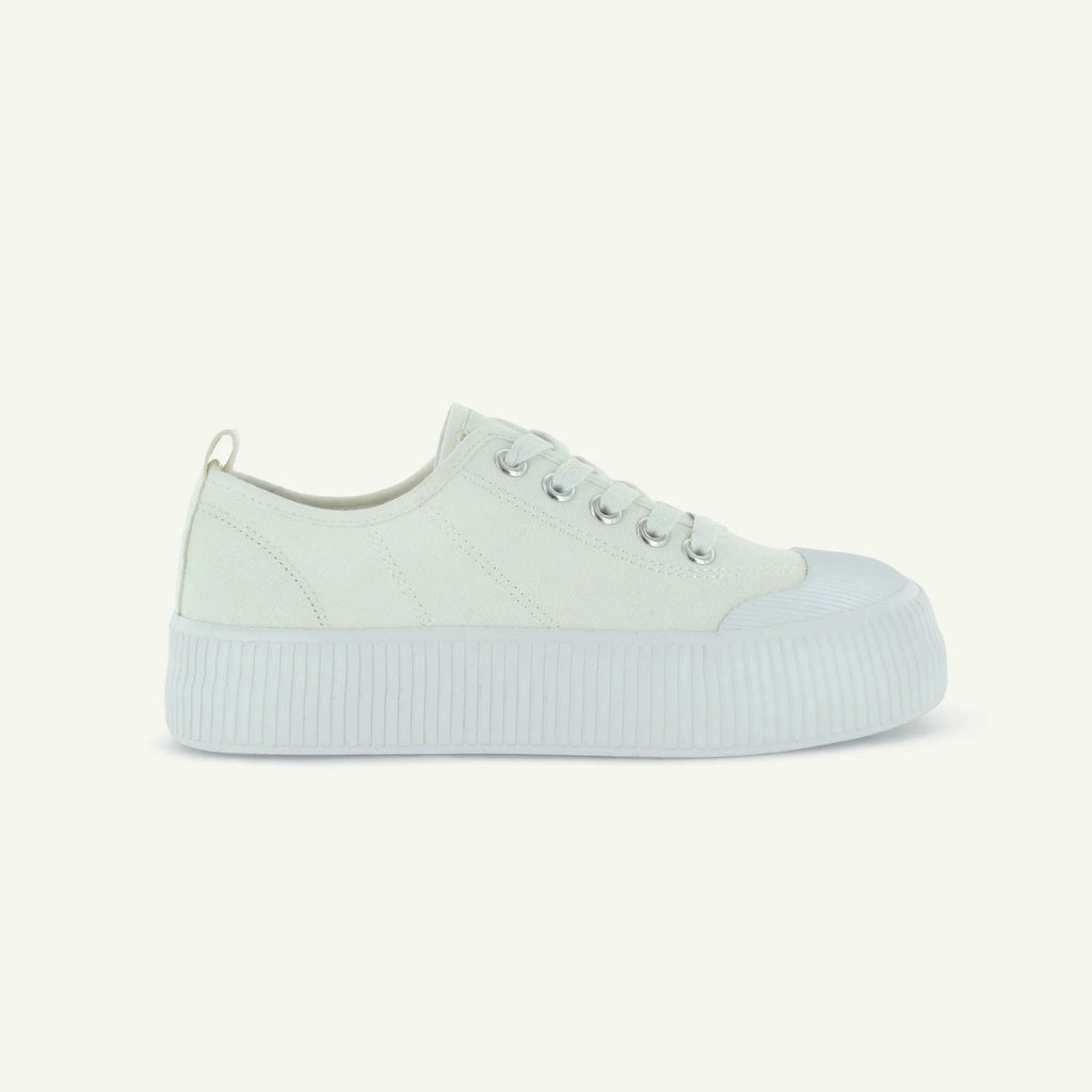 COURT ROYALE: VULCANIZED COURT SHOE - WHITE Elle Footwear