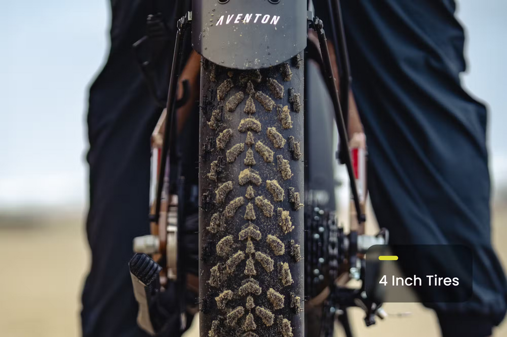 Aventon Aventure.3 E-Bike Step-Through Rex E-Bikes