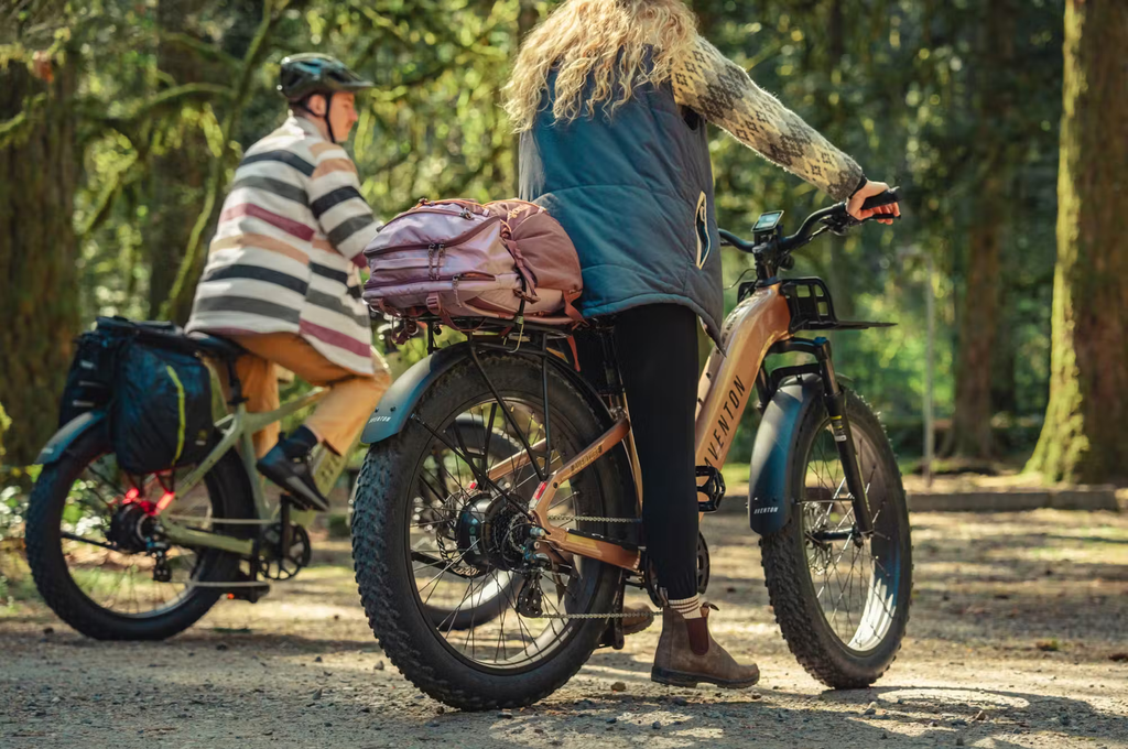 Aventon Aventure.3 E-Bike Step-Through Rex E-Bikes