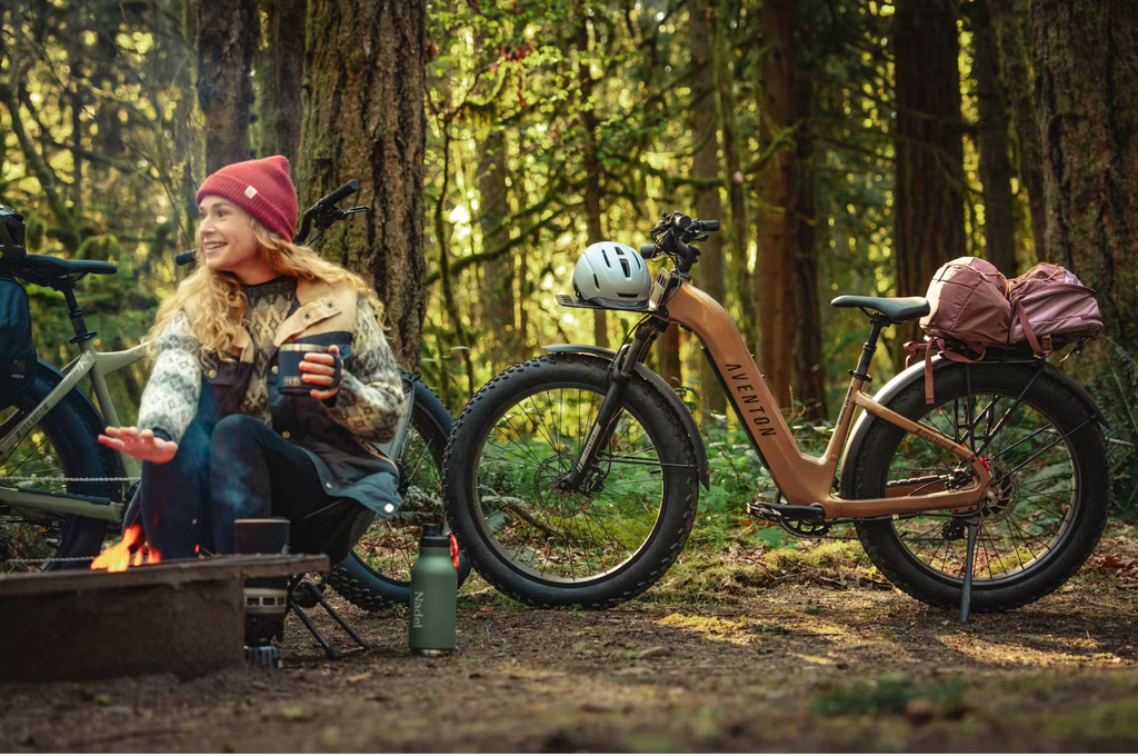 Aventon Aventure.3 E-Bike Step-Through Rex E-Bikes