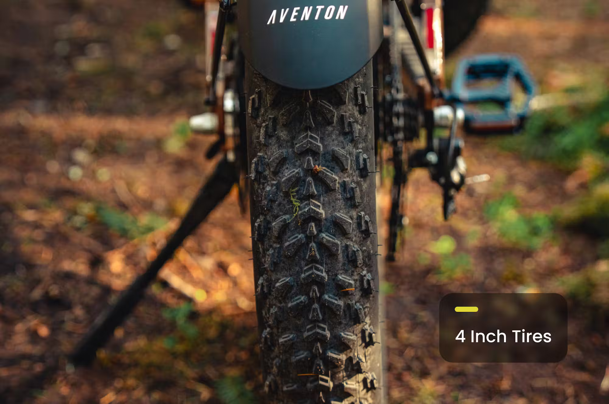 Aventon Aventure.3 E-Bike Step-Over Rex E-Bikes