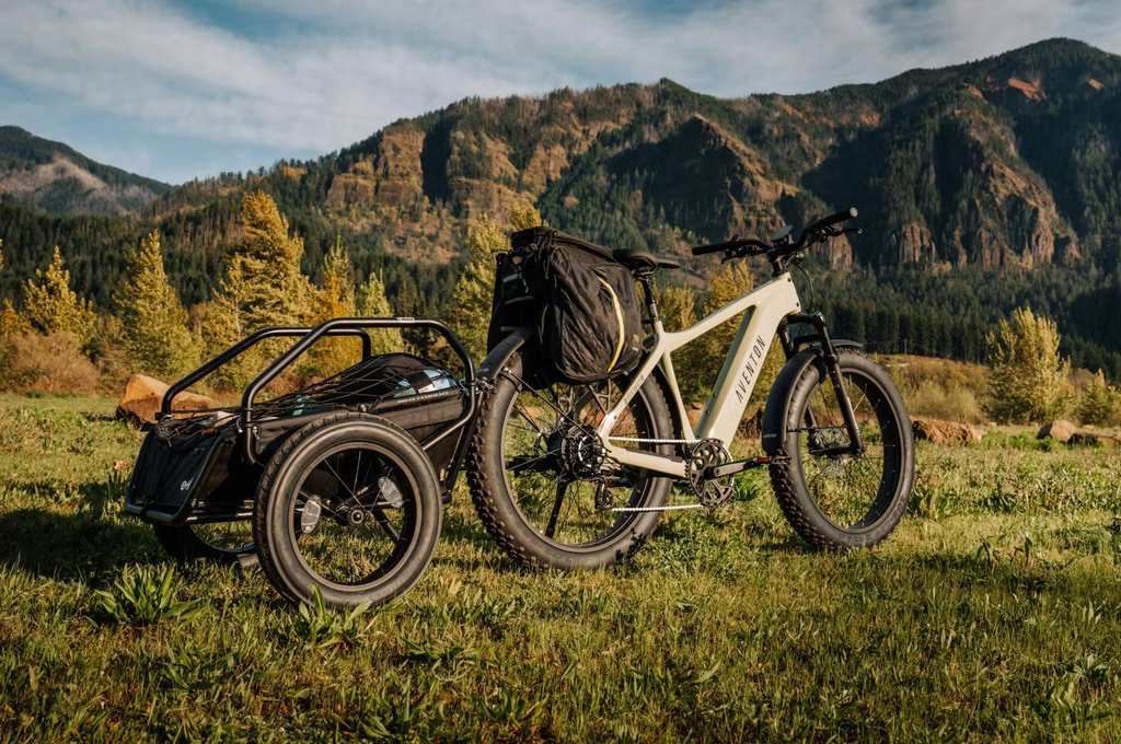 Aventon Aventure.3 E-Bike Step-Over Rex E-Bikes