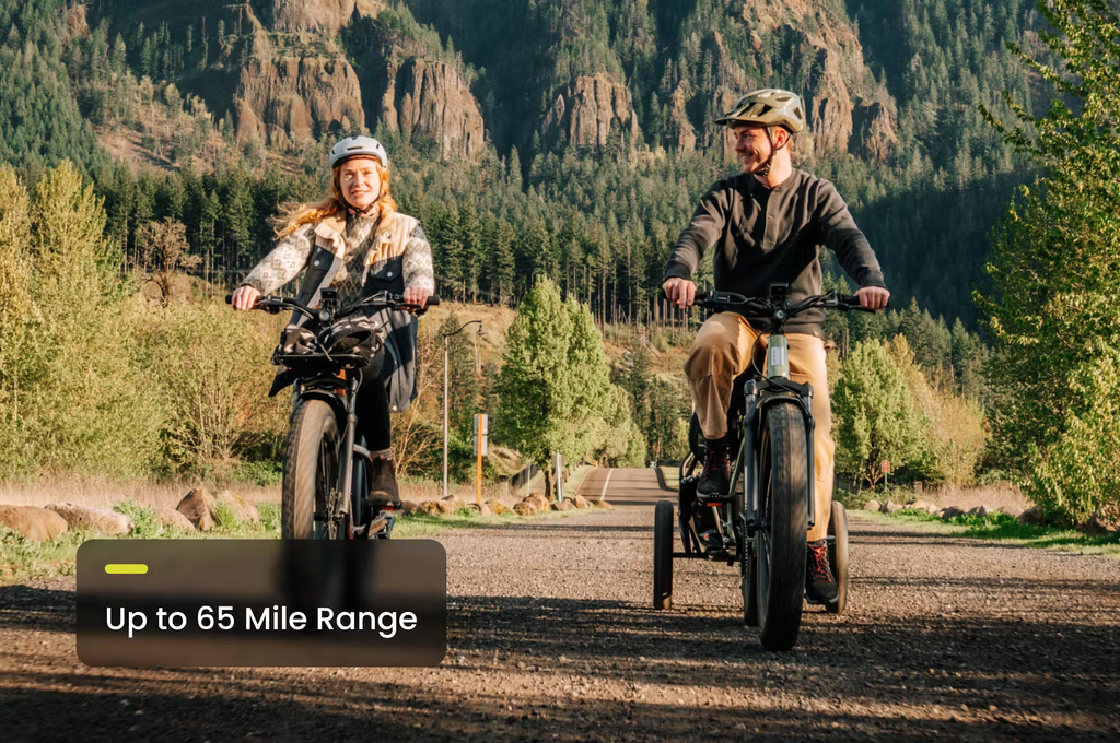 Aventon Aventure.3 E-Bike Step-Over Rex E-Bikes