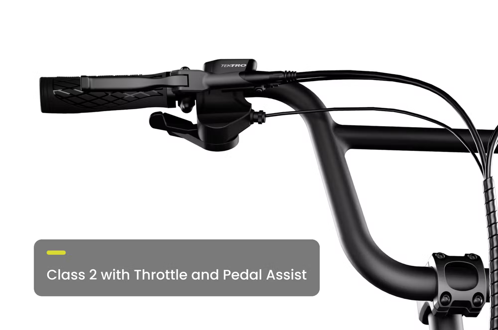 Aventon Abound LR Cargo E-Bike Rex E-Bikes