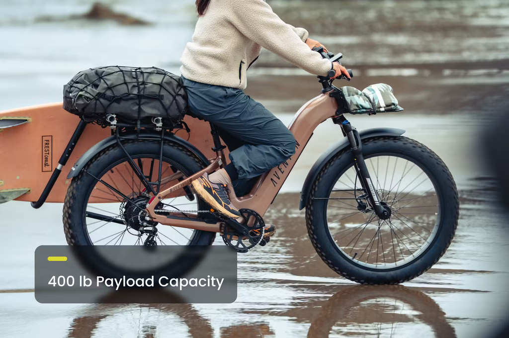 Aventon Aventure.3 E-Bike Step-Through Rex E-Bikes