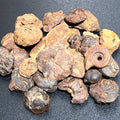 Ammonite Fossils Mixed Quality (By The Ounce Or Pound) Spiral Ammonoids Wholesale Amazing Crystals