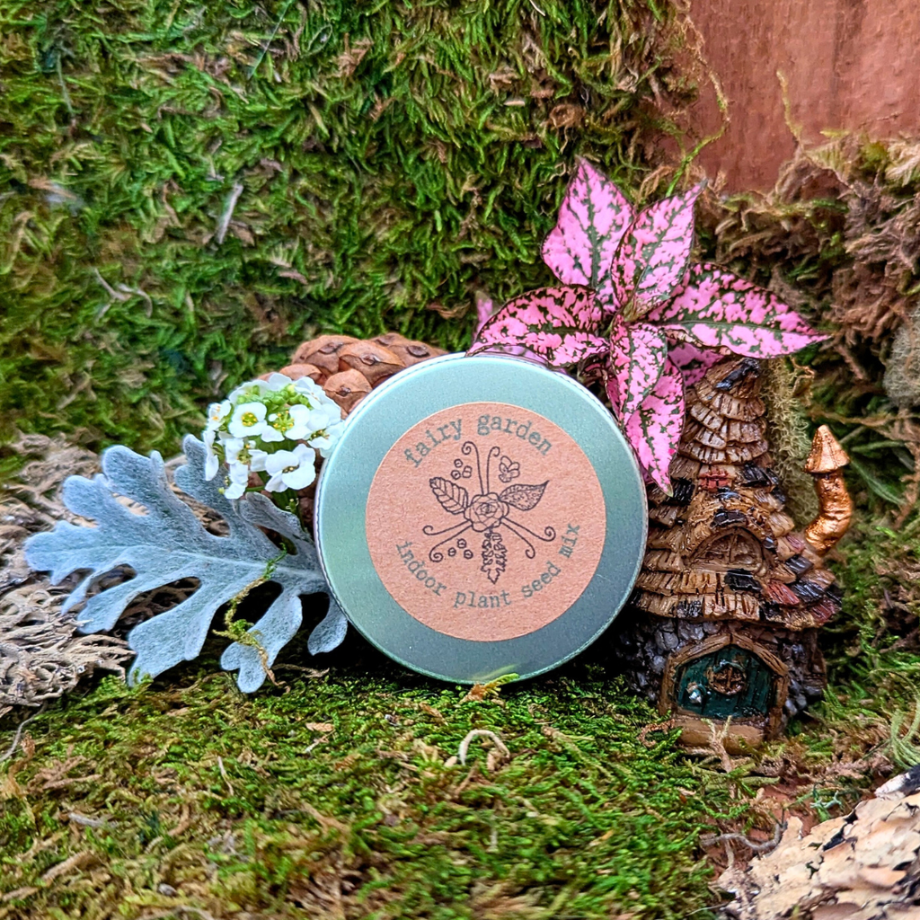 "Fairy Garden" Seed Mix Plantflix