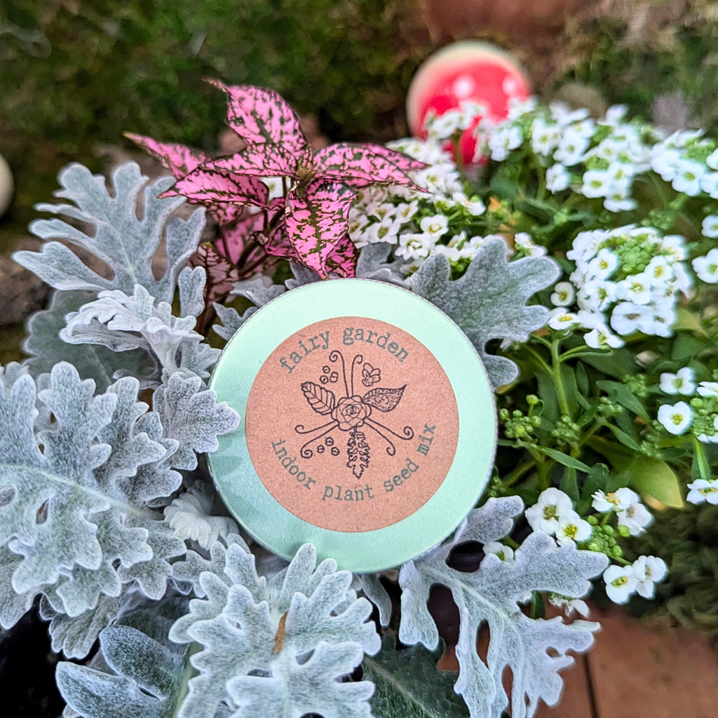 "Fairy Garden" Seed Mix Plantflix