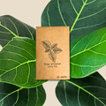 Ficus Altissima 'Lofty Fig' Seeds Plantflix