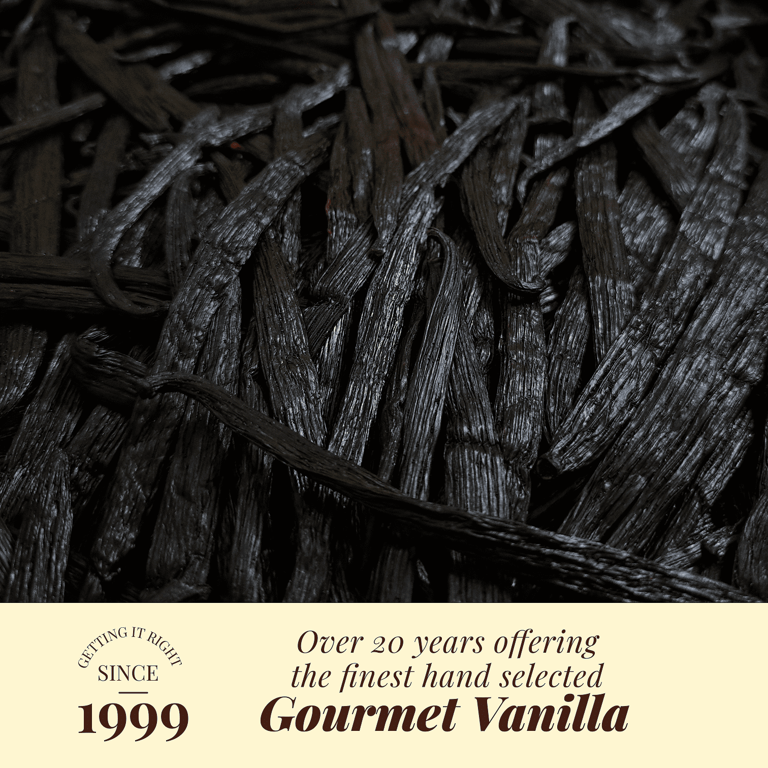 Whole Bulk Vanilla Beans - Order - NON GMO Gourmet Vanilla Pods 6 - 8 Inches For making Baking Whole Premium Vanilla Beans Grade A  by New York Vanilla Akshit