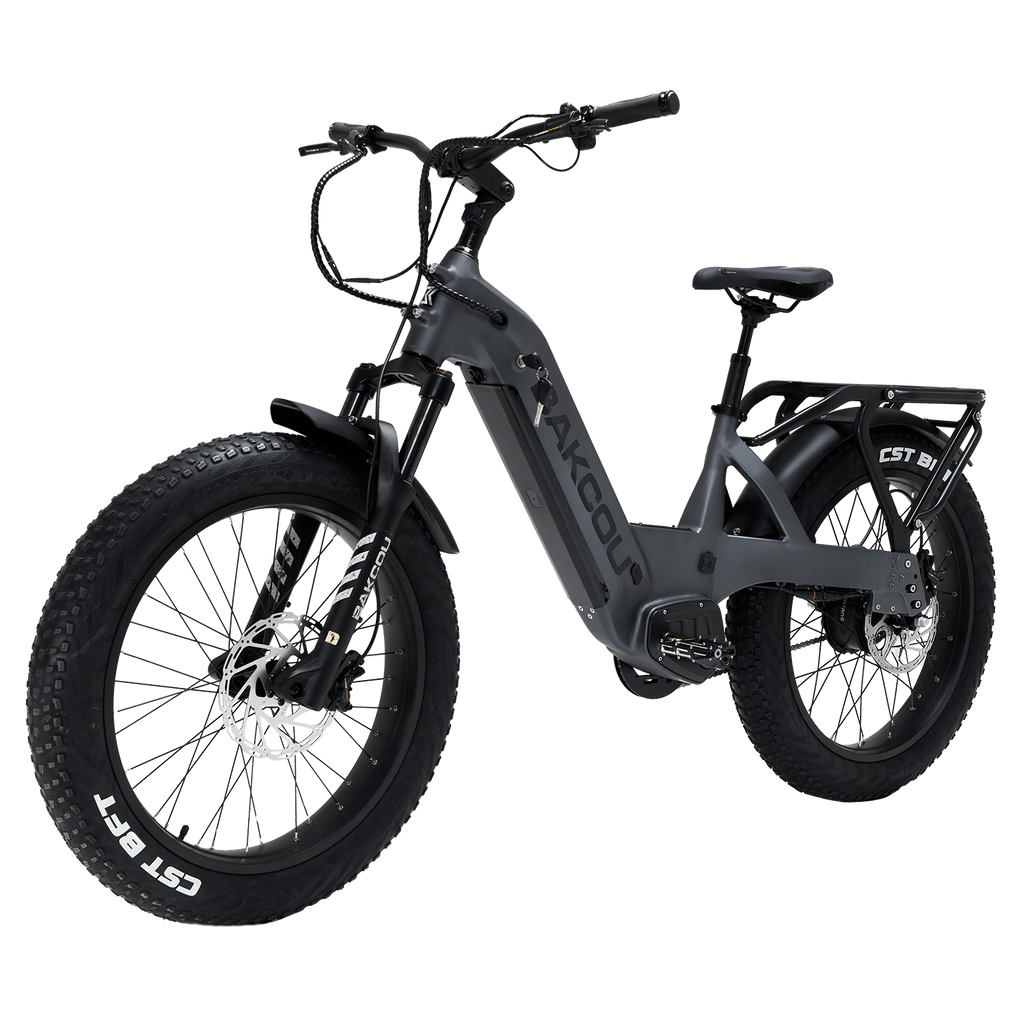 Flatlander SD Bakcou