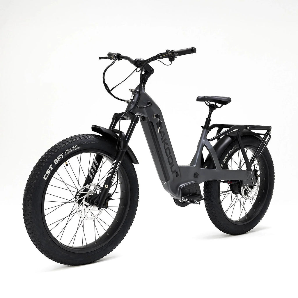 Flatlander SD Bakcou