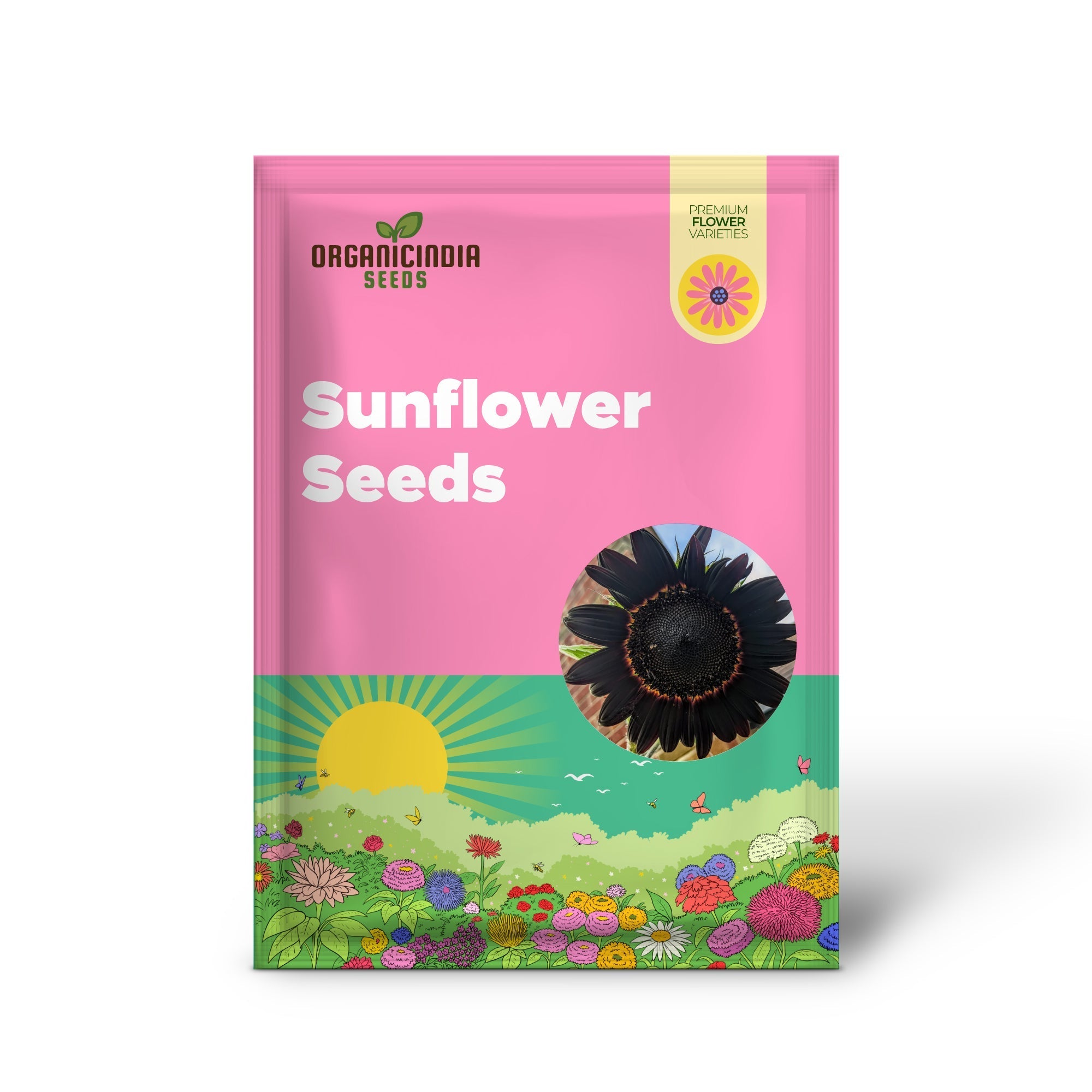Fresh Deep Black Sunflower Seeds for Planting - Garden Growth for 50 Pcs organicindiaseeds